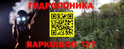 крисы Ирбит