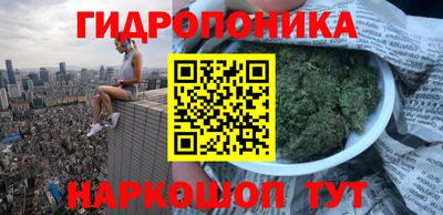 крисы Ирбит