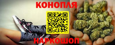 крисы Ирбит